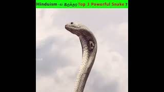 Hinduismல இருக்குற Top 3 Powerful Snakes   Top Most Powerful Snakes  Shorts motivation [upl. by Kancler]