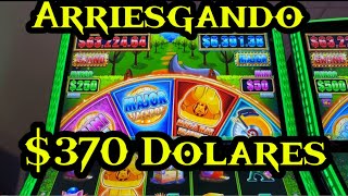 💥Arriesgando 370 dolares en la maquina de Huff N More Puff ntcasino [upl. by Neelhtak]