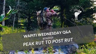 Post Rut Elk Calling Tactics  Wapiti Wednesday QampA  EP 34 [upl. by Swigart]