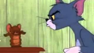 Tom and Jerry Cartoon Timid Tabby [upl. by Hubsher]