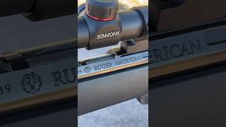 Ruger American Rimfire 22 Magnum [upl. by Aicenaj]