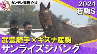 【サンライズジパングが完勝！】2024年 若駒ステークスL 実況：川島壮雄【カンテレ公式】 [upl. by Allesiram]