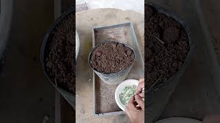 Mix soil for planting with Simple waygardenlifestyle enjoylife farming lifestyle [upl. by Omrellug]