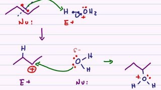 Hydration of Alkenes  Acid Catalyzed Reaction Mechanism [upl. by Leiahtan]