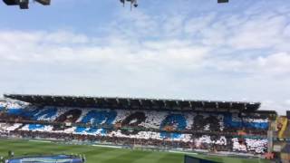 Tifo Club Brugge vs Anderlecht [upl. by Inalaehak]