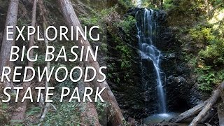 Big Basin Redwoods State Park Hikes Berry Creek Falls amp Redwoods Trail [upl. by Eblehs]