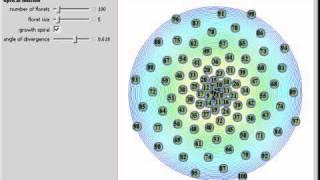 Phyllotaxis Explained [upl. by Solita]