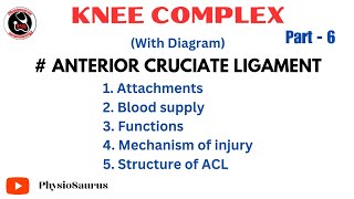 ACL  Anterior cruciate ligament attachment function mechanism of injury Knee complex [upl. by Shank109]