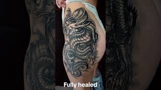 Healed tattoo of a dragon I have tattooed australia tattoo [upl. by Mueller817]