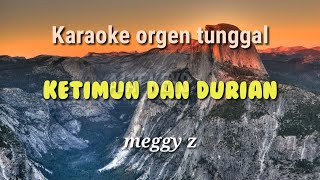 KETIMUN DAN DURIAN  MEGGY Z  KARAOKE ORGEN TUNGGAL [upl. by Seamus]