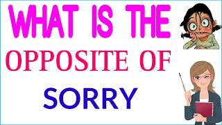 Sorry ka opposite word  Sorry ka opposite  what is the opposite of Sorry in english [upl. by Irahcaz]