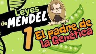 🌱LAS 3 LEYES DE MENDEL ¿quién fue Mendel GUÍA EXAMEN UNAMIPN [upl. by Nylanaj]