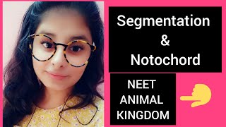 Segmentation amp Notochord  ANIMAL KINGDOM  NEET preparation  NEET preparation in Hindi [upl. by Kenweigh]