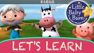 Old Macdonald Had a Farm  Learn with Little Baby Bum  Nursery Rhymes for Babies  Songs for Kids [upl. by Ivar]