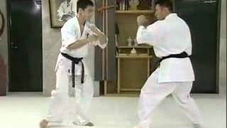 Using Gedan Mawashi Geri low roundhouse kick for Takedowns  Matsui Kancho [upl. by Leggat]