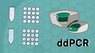 ddPCR [upl. by Leamse]