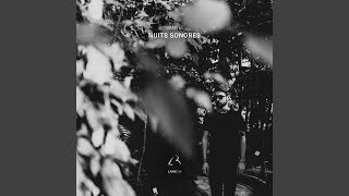 Nuits Sonores [upl. by Llednil]