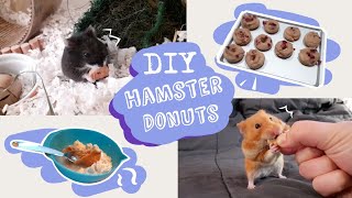 DIY Donut Hamster Treats   Attempted Mini Cooking [upl. by Ahsile941]