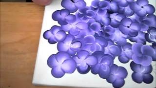 Demo zweifarbige kleine Blüten Blumen mit Acrylfarbe malen onestroke acrylic painting [upl. by Parhe377]