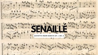 Senaillé Gavotta from Sonata in G minor Op 1 no 6 [upl. by Aenaj]