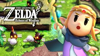 ZELDA ECHOES OF WISDOM 14  O Pântano Faron  Em Português PTBR [upl. by Ennove671]