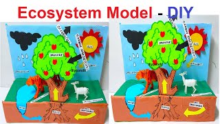 ecosystem model making for science project using science exhibition  diy  simple  DIY pandit [upl. by Honora]