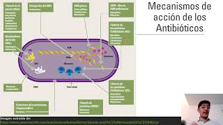 Antibióticos 1 Mecanismos de acción [upl. by Dahsra61]