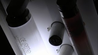 EOLfluorescent tube burnout T8 36W [upl. by Nipahc491]