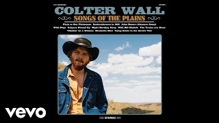 Colter Wall  Wild Dogs Audio [upl. by Irtimid454]