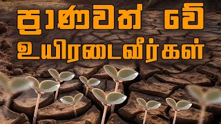 ප්‍රාණවත් වේ  உயிரடைவீர்கள்  Pastor Walter Rajamani  Jesus Saves  Sri Lanka [upl. by Ynnol]