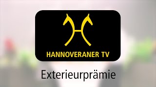 Hannoveraner TV Exterieurprämie [upl. by Terrena]