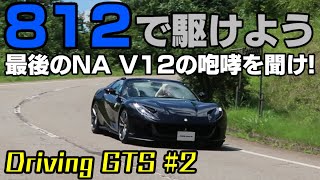 俺が駆るV12！800馬力を骨の髄までしゃぶり尽くせ！！ [upl. by Grimbald]