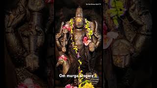 Om murga🙏murgan murugamuruga  murga murgantemple  arogara om murga [upl. by Hardunn]