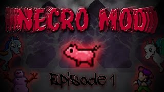 Terraria Necro Mod  Episode 1  The essence of evil [upl. by Leibman]