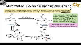 1605 Anomers Mutarotation and the Anomeric Effect [upl. by Gustavo]