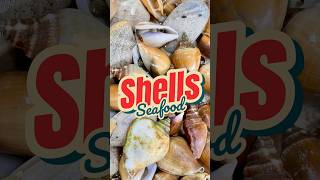 Shells Seafood  philippines seafood food [upl. by Ayna]