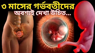 ৩ মাসের গর্ভবতী।3 Months onths of Pregnancy Bangla [upl. by Ikcin]