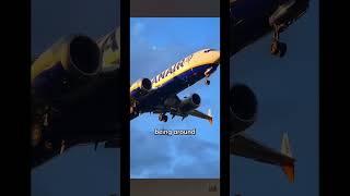 Ryanair is the best aviation likesharesubscribe [upl. by Eerased]