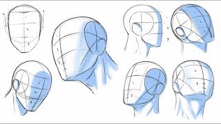 How to Draw Heads  Dividing it Into Thirds [upl. by Paten]