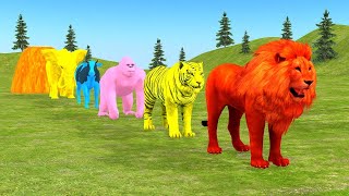 Long Slide Game With Elephant Gorilla Buffalo Hippopotamus Tiger  3d Animal Game  Funny 3d Animals [upl. by Nivram]