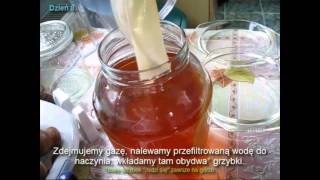 Kombucha  jak zrobić [upl. by Gentille]