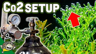 How To Set Up Aquarium Co2 System  The EASY Way [upl. by Rammus]