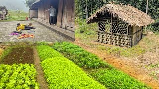 2 year build life alone in the forest Building bamboo Cabin  Making beds gardening water pull [upl. by Nrevel]