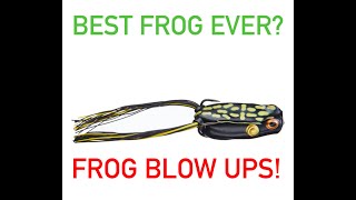 Frog fishing blow ups Booyah Pad Crasher [upl. by Lidia308]