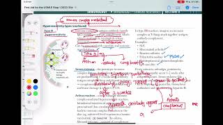 Hypersensitivity type 3 immunology 38  First Aid USMLE Step 1 in UrduHindi [upl. by Llerrit]