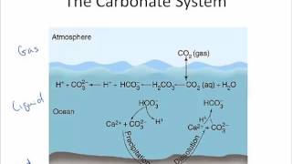 Water Chem Alkalinity Part 1 [upl. by Aline]