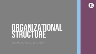 Organizational Structure [upl. by Natanoj783]