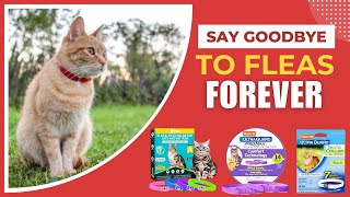 Best Cat Flea Collars  Keep Your Cat FleaFree [upl. by Claudette701]