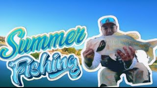 MidSummer California bass fishing bassfishing fishing bassjunkie subscribe [upl. by Lamrouex865]