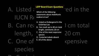 Episode 19 Holothuria scabra fisheries fisheriesscience [upl. by Frieder]